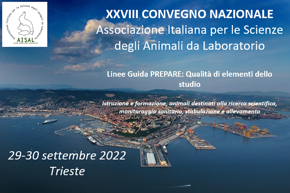 Convegno Nazionale AISAL 2022