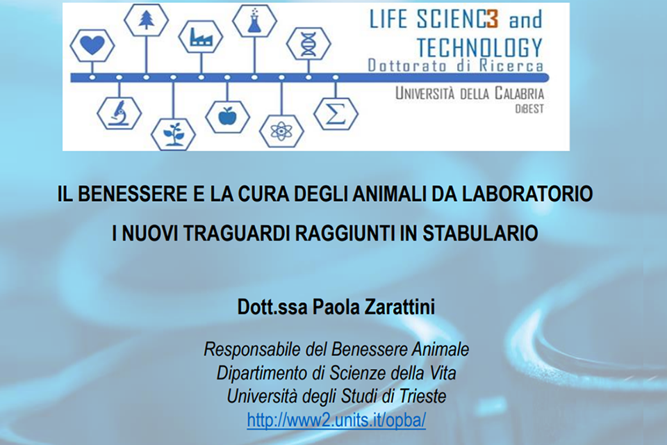 Webinar: IL BENESSERE E LA CURA DEGLI ANIMALI DA LABORATORIO I NUOVI TRAGUARDI RAGGIUNTI IN STABULARIO