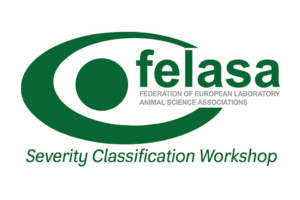 Severity Classification Workshop